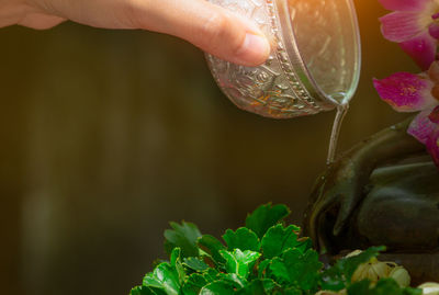 Cropped hand pouring water on buddha statue