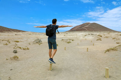 Rear view of man standing on wooden post at desert