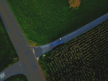 High angle view of green field