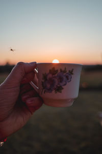 Midsection of person holding flower against sky during sunset