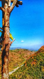 Scenic view of tree against blue sky