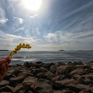 Person holding rock in sea against sky