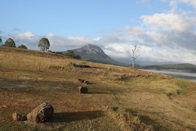 Scenic view of field against sky