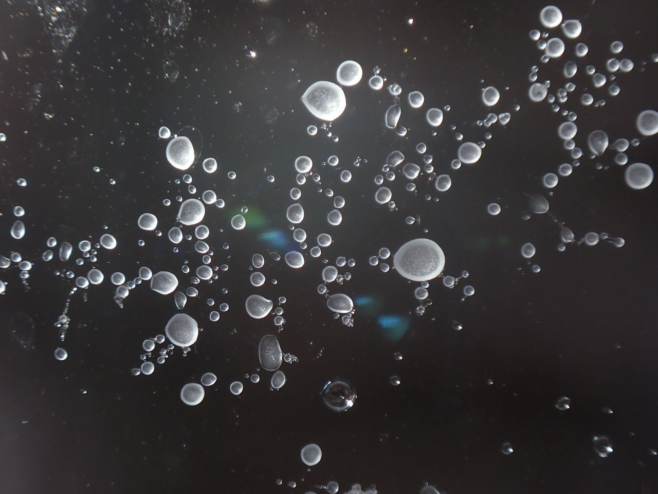 FULL FRAME SHOT OF WATER DROPS ON BUBBLES