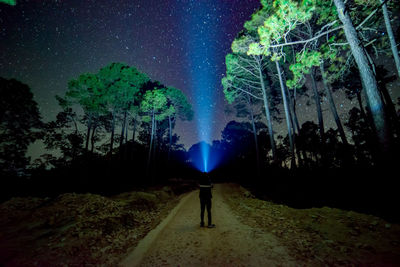 Rear view of silhouette man standing by illuminated trees against sky at night