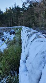 Scenic view of river stream during winter