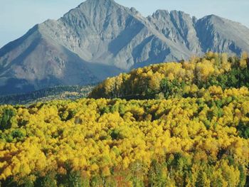 Scenic view of mountain range