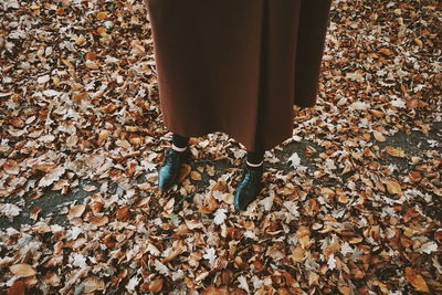 Low section of man standing on autumn leaves