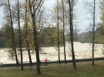 Man and trees on riverbank