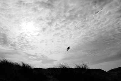 Low angle view of silhouette bird flying in sky