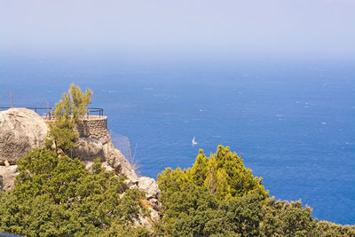 High angle view of trees by sea against clear sky