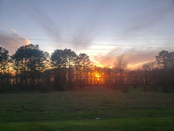 Silhouette trees on field against sky at sunset