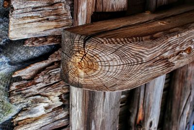 Close-up of log