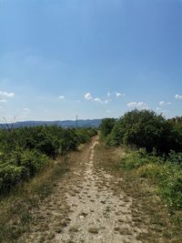 Dirt road along plants and trees against sky