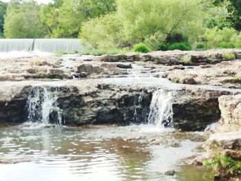 Scenic view of waterfall in forest