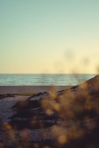 Scenic view of sea against clear sky during sunset