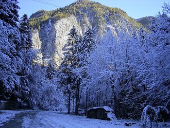 Scenic view of snow covered landscape