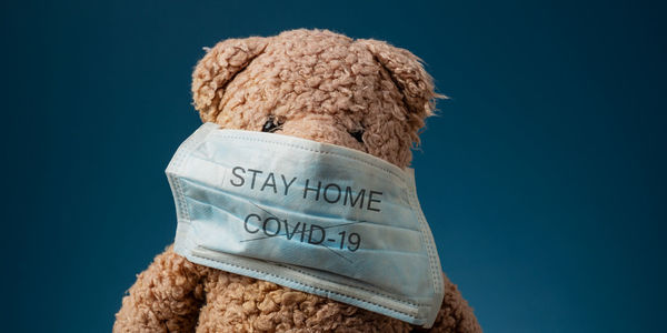 Close-up of stuffed toy against blue background