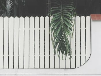 Close-up of white fence against wall