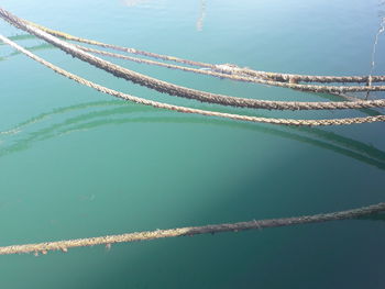 High angle view of rope tied on boat