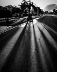 Road by trees against sky