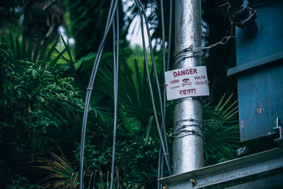 Close-up of information sign against plants