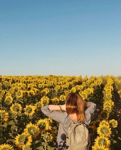 Rear view of woman standing on sunflower field against clear sky