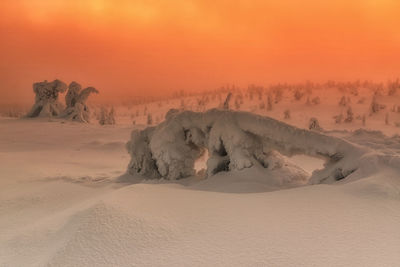 Scenic view of snow covered land during sunset