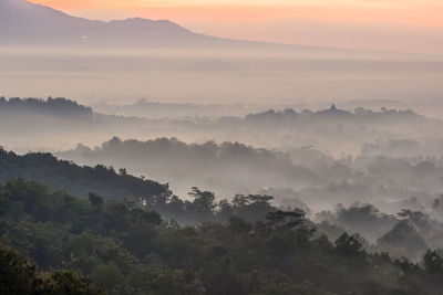Trees on landscape against sky during sunset