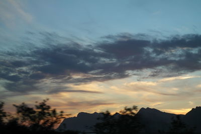 Low angle view of silhouette trees against sky