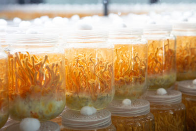 Close-up of food on table