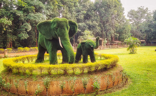 View of elephant on field