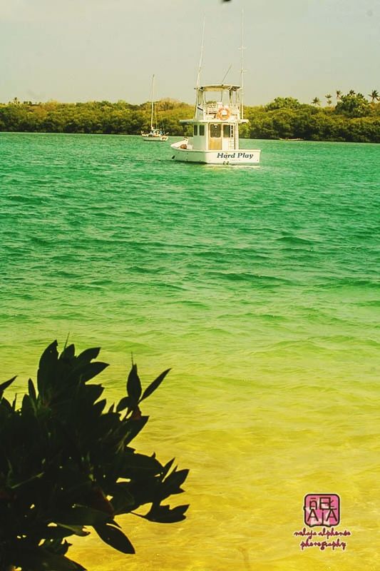 water, waterfront, nautical vessel, tranquility, tranquil scene, rippled, lake, sea, yellow, nature, transportation, built structure, river, boat, scenics, beauty in nature, tree, mode of transport, day, architecture