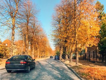 Car on street by trees during autumn