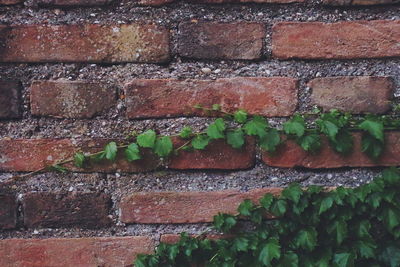 Close-up of brick wall
