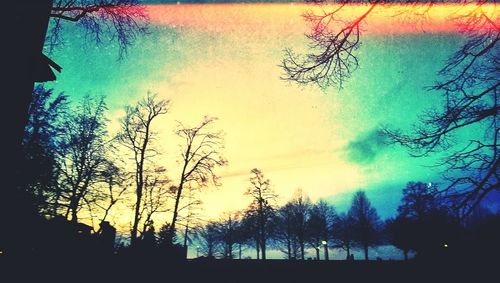 Silhouette of bare trees against sky at sunset