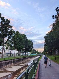 Rear view of people walking on footpath amidst plants against sky