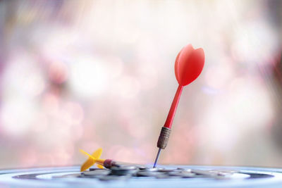 Close-up of darts on dartboard