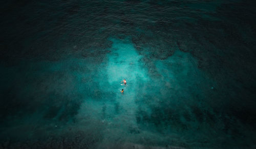 High angle view of people swimming in sea