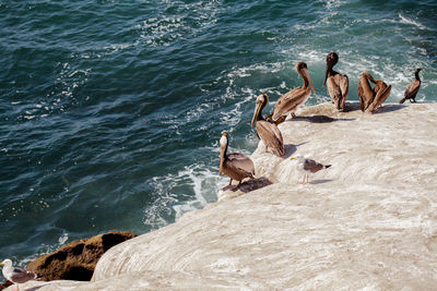 High angle view of people on rocks by sea