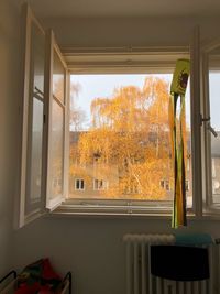 View of house through window