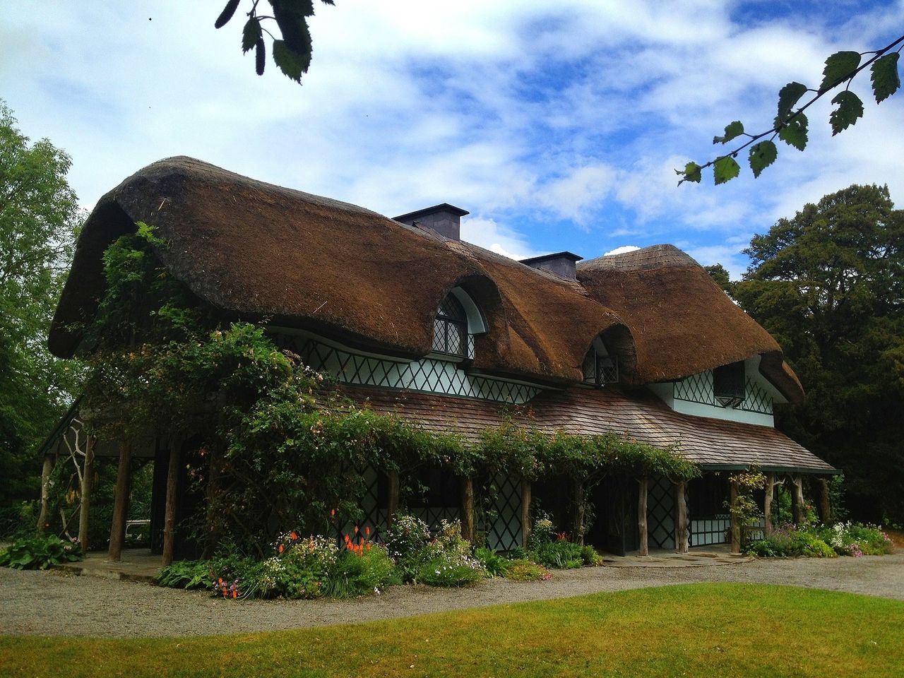 architecture, built structure, building exterior, sky, tree, cloud - sky, house, cloud, art, plant, art and craft, day, growth, outdoors, no people, low angle view, nature, green color, old, history