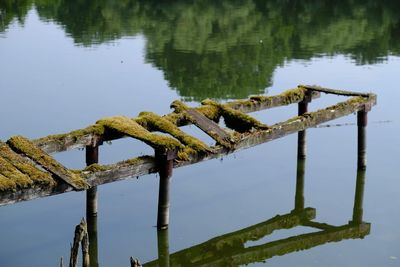 Wooden post in a lake