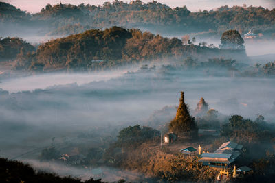 High angle view of trees and buildings against sky