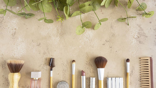 Close-up of paintbrushes on wall