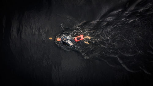 Aerial view of person swimming in water