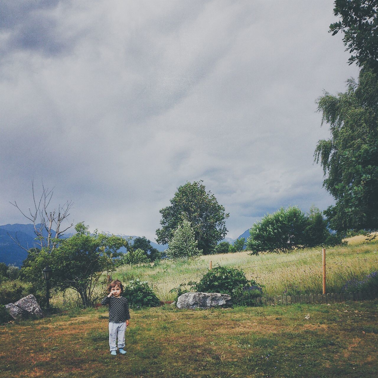 lifestyles, leisure activity, tree, grass, sky, field, standing, rear view, full length, casual clothing, childhood, tranquility, landscape, nature, cloud - sky, tranquil scene, boys, growth