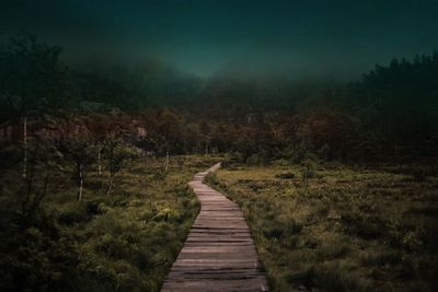 Boardwalk amidst grassy field in forest during foggy weather