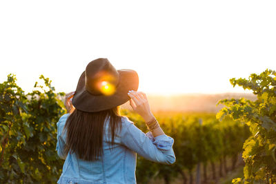Rear view of woman standing at vineyard against sky during sunset