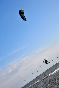 Low angle view of birds flying against blue sky